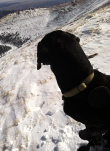 Obviously taken when we were still warm and happy and not worrying about Luna freezing to death