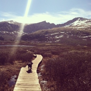 On the right is Bierstadt.  In the middle is the Sawtooth.  On the left  (the summit isn't actually pictured) is Evans.  