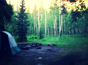 Also of note, there was a marshy area in that aspen grove that was full of mosquitoes and large spiders.  Importantly, I was not afraid of the spiders.