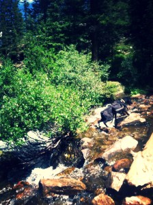 Do you see that mid-jump!?  