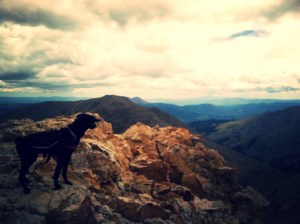 Lu on the summit of Belford, looking out over the Collegiate Wildnerness (like a boss)