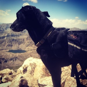 more summit pictures!  Lu's glamour shots.  Here she is, looking regal