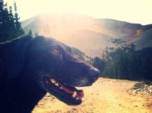 Seriously.  This is a real picture.