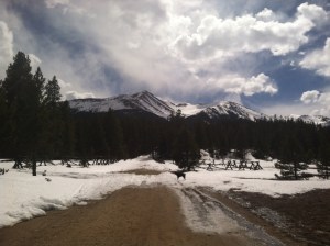 LOOK!  It's the ground!