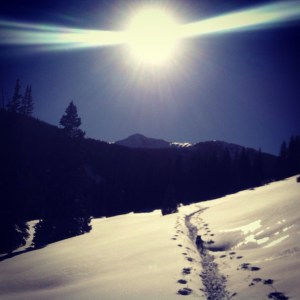 on the way back in n. 10 mile trail north of Frisco