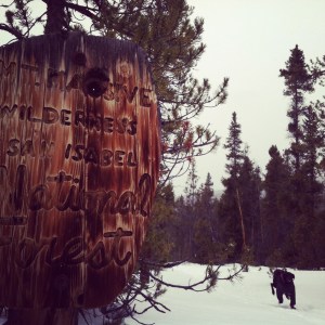 welcome to mt. massive wilderness