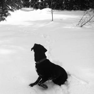 Luna doesn't care if she's buried or not