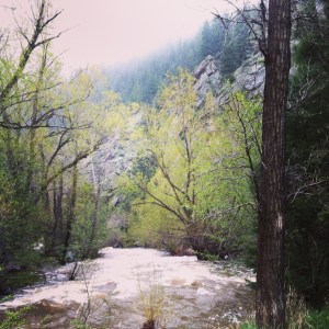 the rivers in Denver are flooded from all of our mountain storms