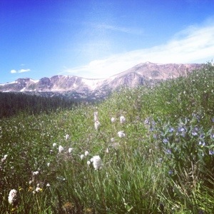 just another day in paradise