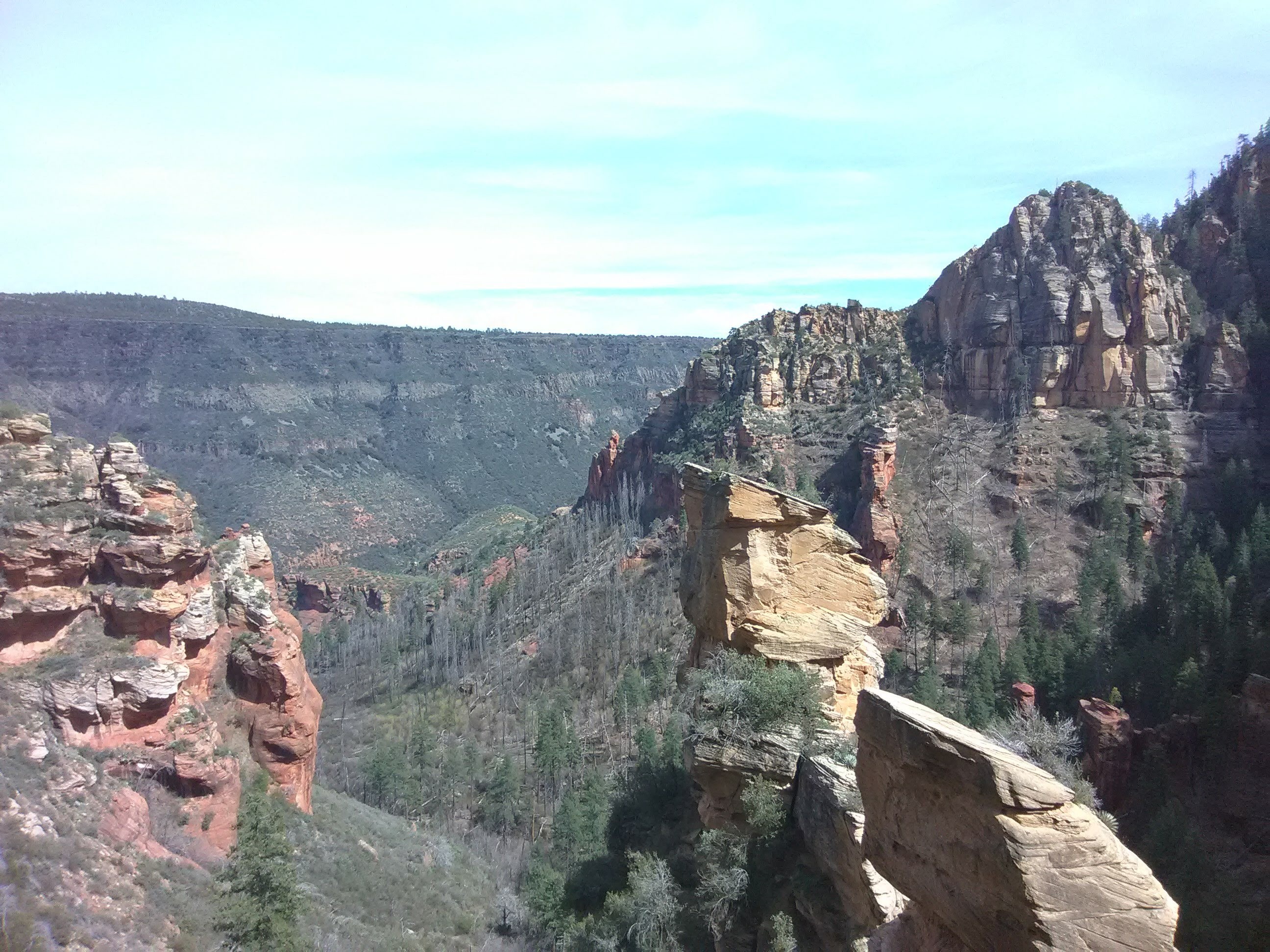 img_20190405_142512-1