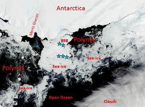 polynya